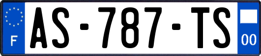 AS-787-TS