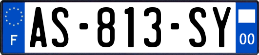 AS-813-SY