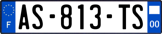 AS-813-TS