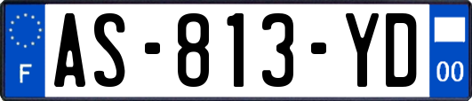 AS-813-YD