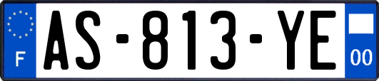 AS-813-YE