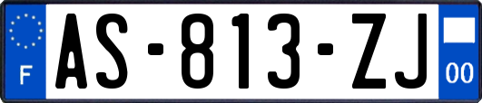 AS-813-ZJ