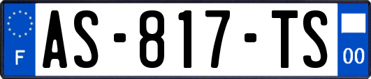 AS-817-TS