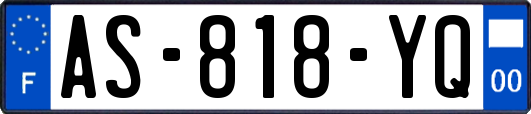AS-818-YQ