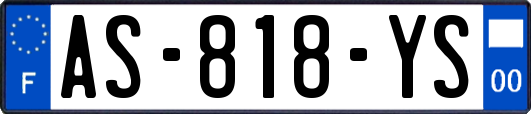 AS-818-YS