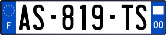 AS-819-TS