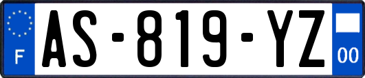 AS-819-YZ