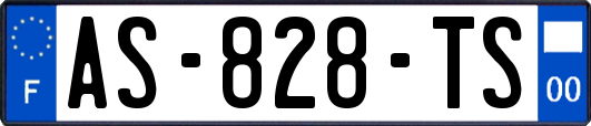 AS-828-TS