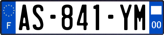 AS-841-YM