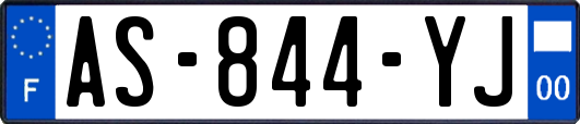 AS-844-YJ