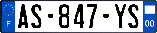 AS-847-YS