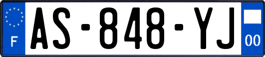 AS-848-YJ