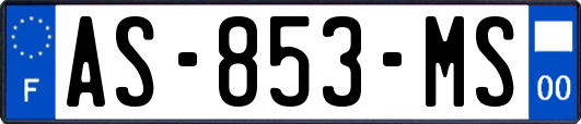 AS-853-MS