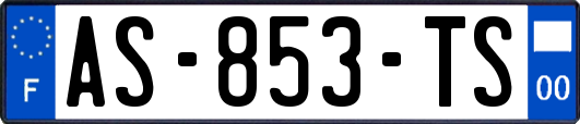 AS-853-TS