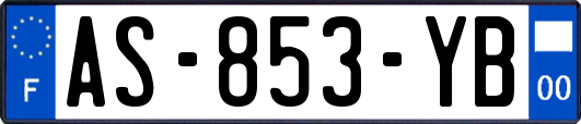 AS-853-YB