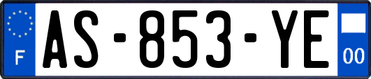 AS-853-YE