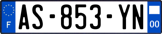 AS-853-YN
