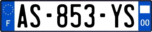 AS-853-YS