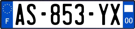 AS-853-YX
