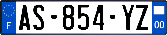 AS-854-YZ