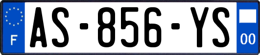 AS-856-YS