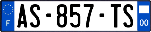 AS-857-TS