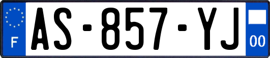 AS-857-YJ