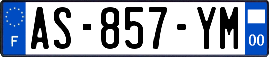 AS-857-YM