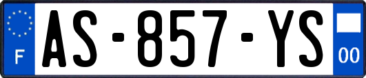AS-857-YS