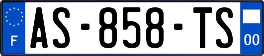 AS-858-TS