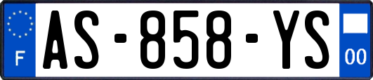 AS-858-YS