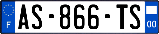 AS-866-TS