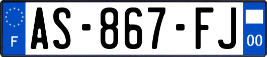 AS-867-FJ