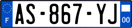 AS-867-YJ
