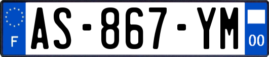 AS-867-YM