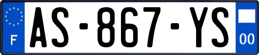 AS-867-YS