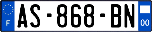 AS-868-BN