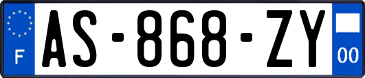 AS-868-ZY