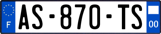 AS-870-TS