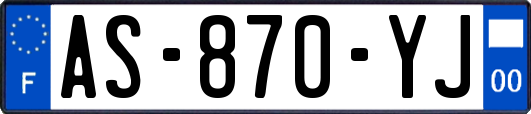 AS-870-YJ