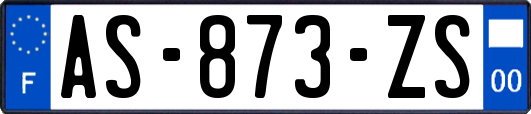 AS-873-ZS