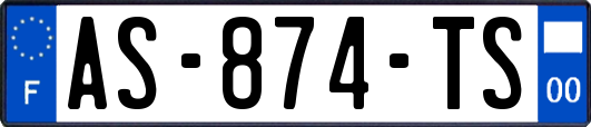 AS-874-TS