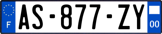 AS-877-ZY