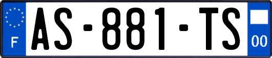 AS-881-TS