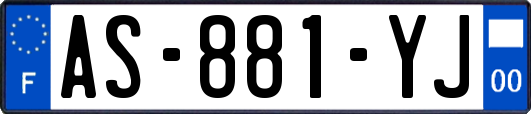 AS-881-YJ