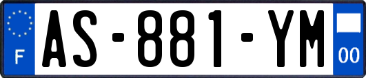 AS-881-YM