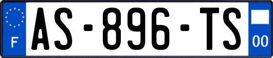 AS-896-TS