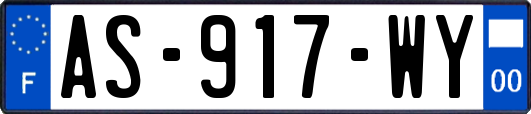 AS-917-WY