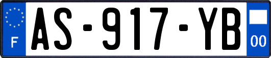 AS-917-YB
