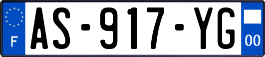 AS-917-YG